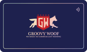 DW NFC Namecard-Brands that connect faster with us-NFC Card Malaysia-Clients-B1-04